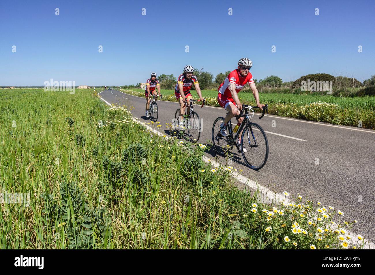 Ciclistas en la carretera de Es Trenc Stock Photo