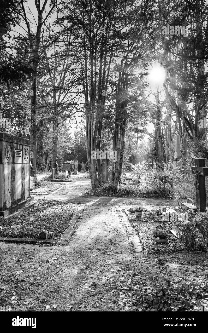 Friedhof sonne Black and White Stock Photos &amp; Images - Alamy