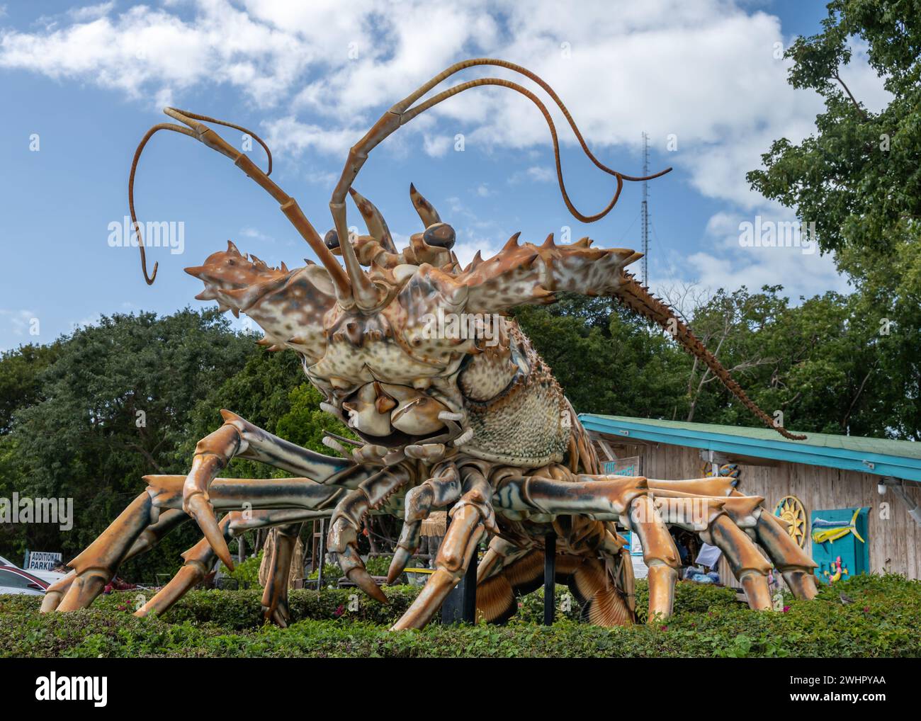 Betsy the lobster, Rain Barrel Village, Islamorada, Florida Stock Photo