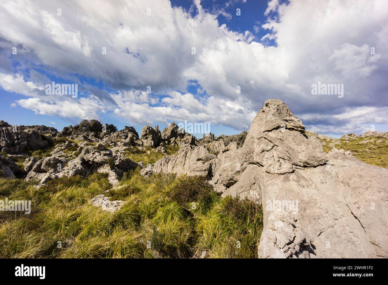 Relieve de color hi-res stock photography and images - Alamy