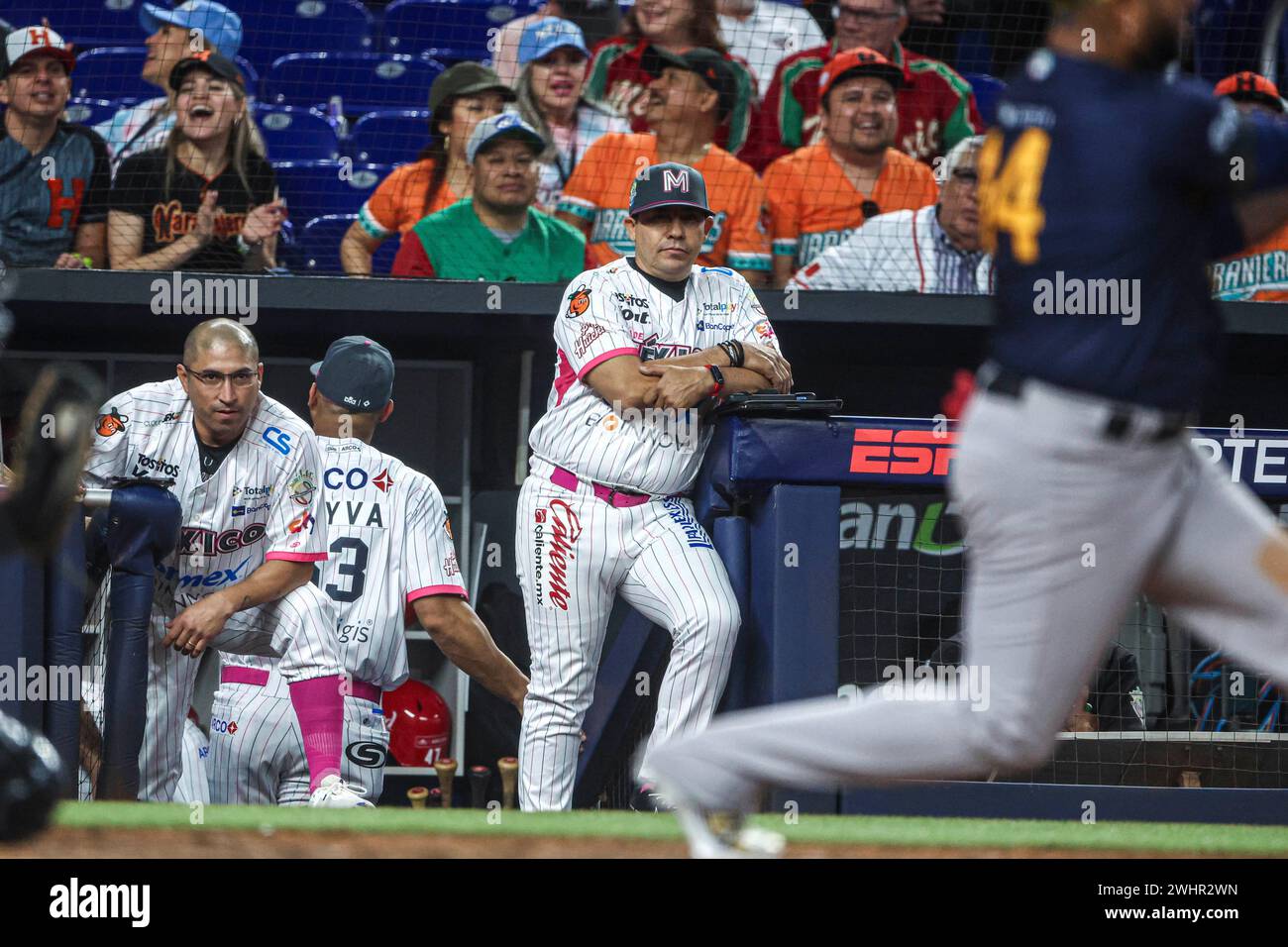 MIAMI, FLORIDA - FEBRUARY 1:  Carlos Gastelum  (L) coach of Naranjeros of Hermosillo   during a game between Curazao and Mexico at loanDepot park as part of the Serie del Caribe 2024 on February 1, 2024 in Miami, Florida. (Photo by Luis Gutierrez/Norte Photo) Stock Photo