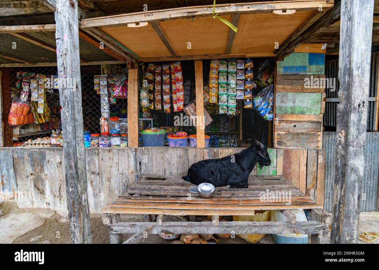 Local shop with goat in Komodo Village (ast Nusa Tenggara), Indonesia. Stock Photo