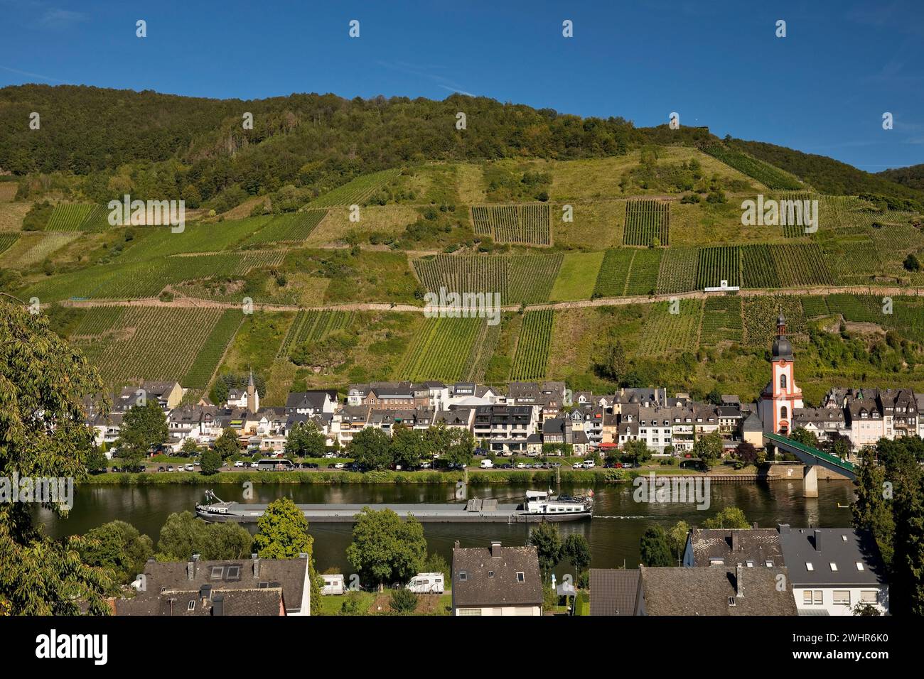 Freight ship on the Moselle with the Church of St. Peter, Zell Mosel, Rhineland-Palatinate, Germany Stock Photo