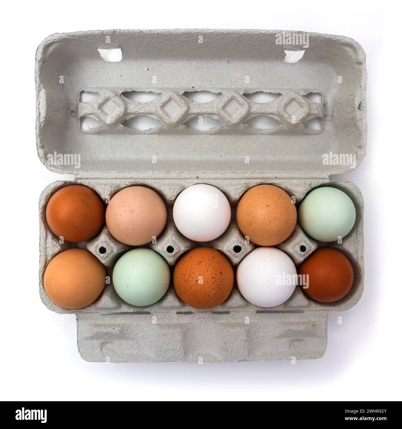 Ten colorful chicken eggs in carton box Stock Photo