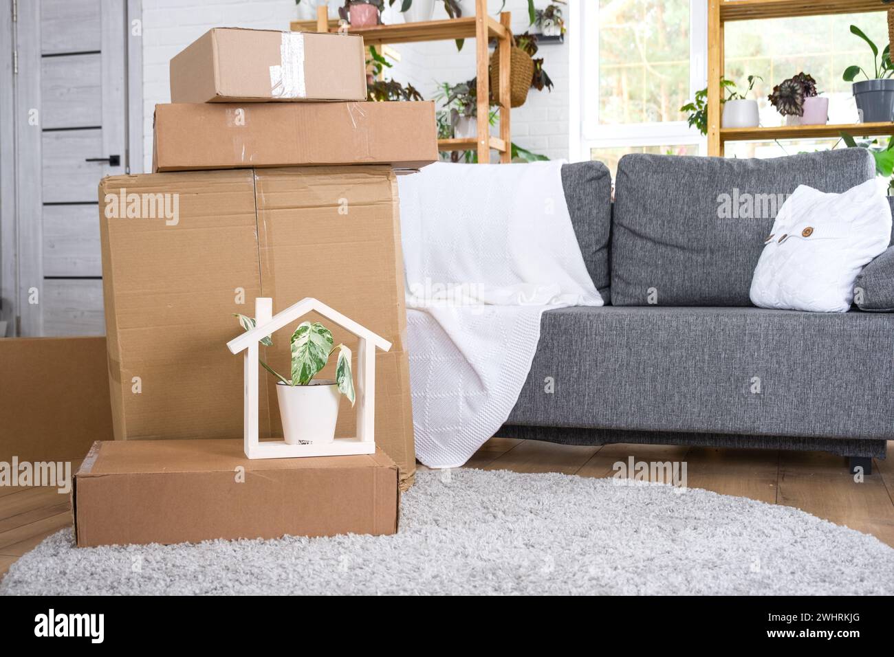 Boxes with things for moving and house plants are in the room of the new house. Housewarming, family property, cargo transportat Stock Photo