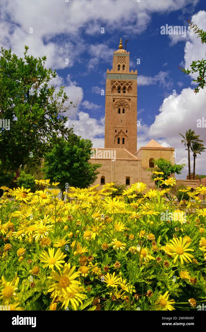 Mezquita y minarete de la Koutoubia (S.XII). Marrakech. Marruecos. Magreb. Africa. Stock Photo