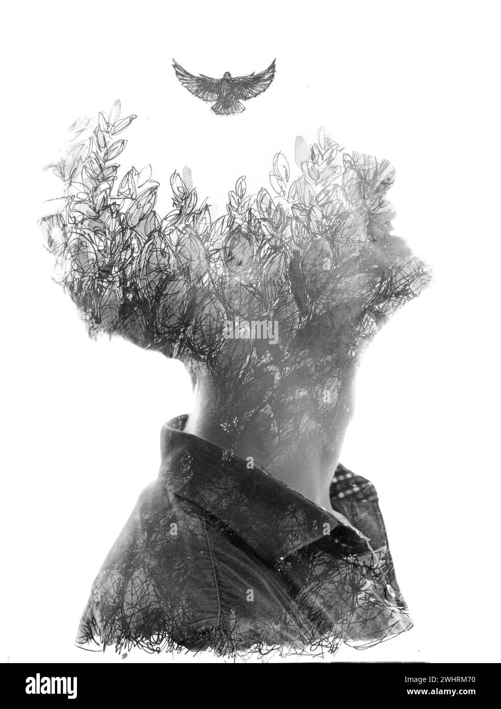 A male profile in double exposure paintography adorned with a flying ...