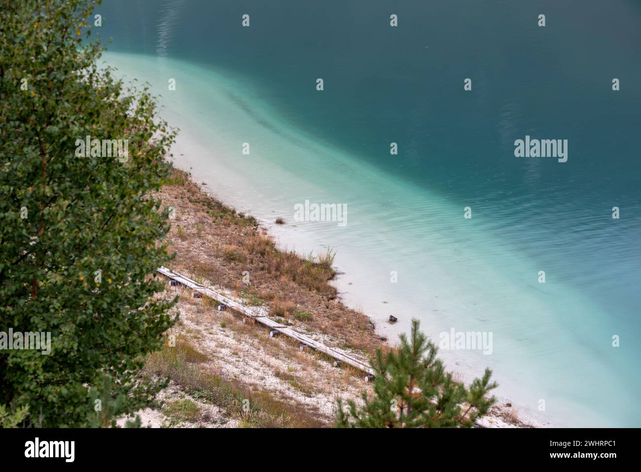 Plants without water hi-res stock photography and images - Alamy