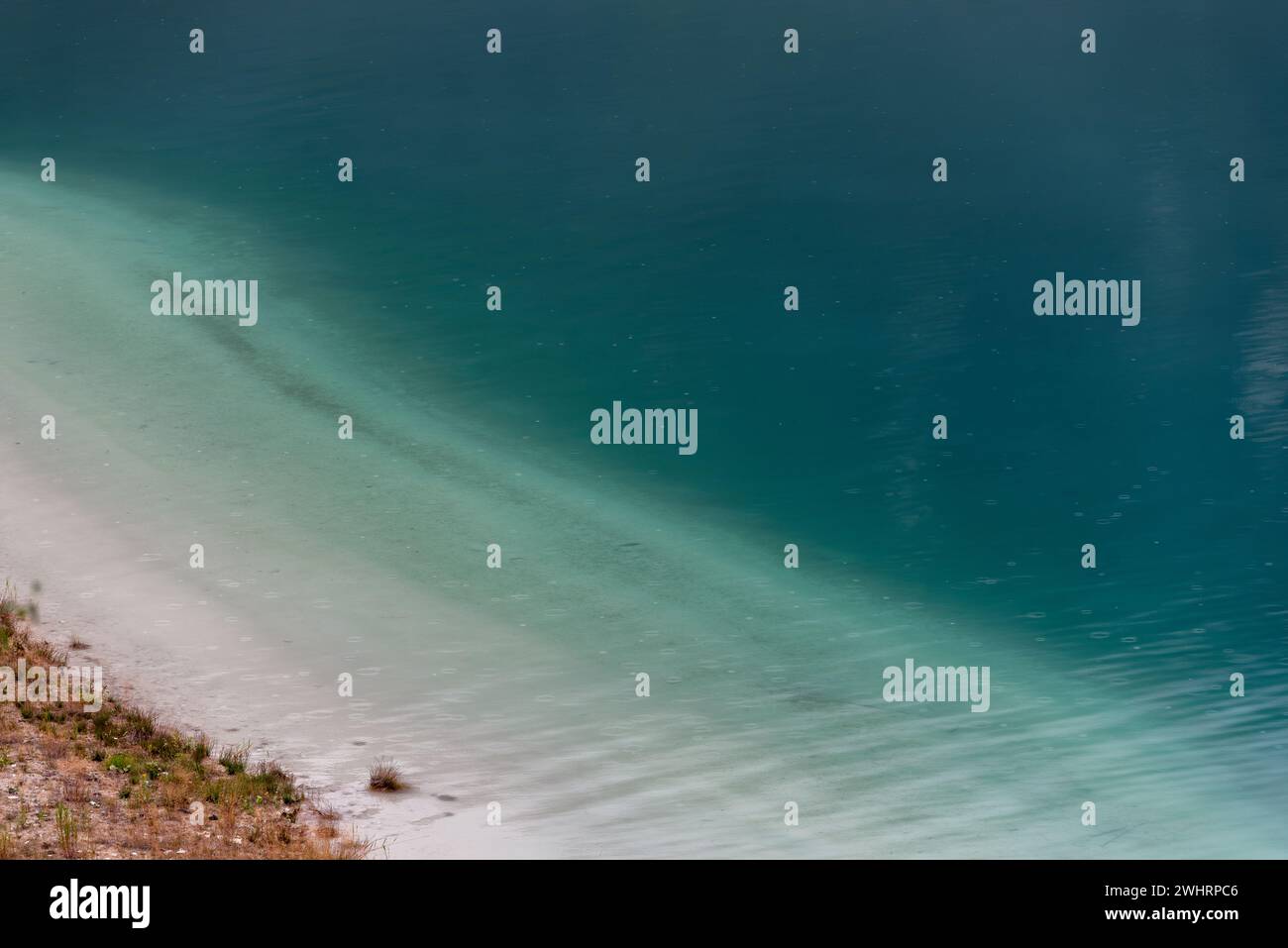 Plants without water hi-res stock photography and images - Alamy