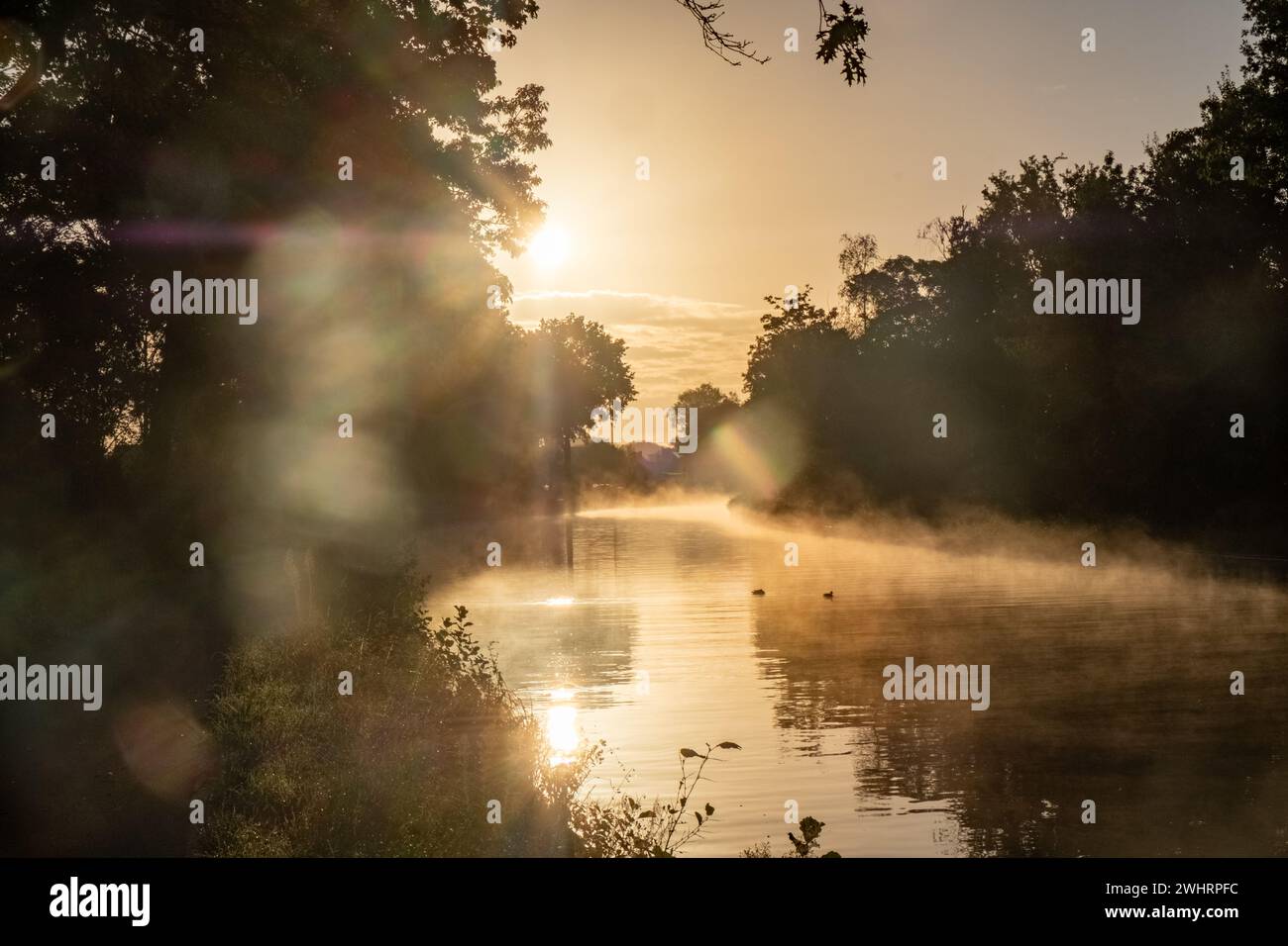 Mystical Sunset Mist Over Canal: Golden Rays Illuminating Tranquility Stock Photo