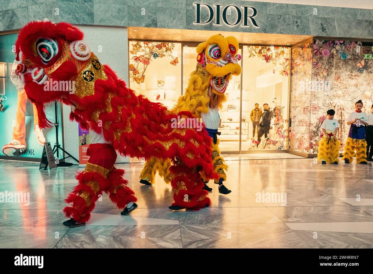 Manhattan, USA. 10th Feb, 2024. Members of the New York Chinese Cultural Center present a variety of traditional Chinese performances in celebration of Lunar New Year at Hudson Yards, Manhattan, NY, on Saturday, Feb. 10, 2024. (Photo by Cristina Matuozzi/Sipa USA) Credit: Sipa USA/Alamy Live News Stock Photo