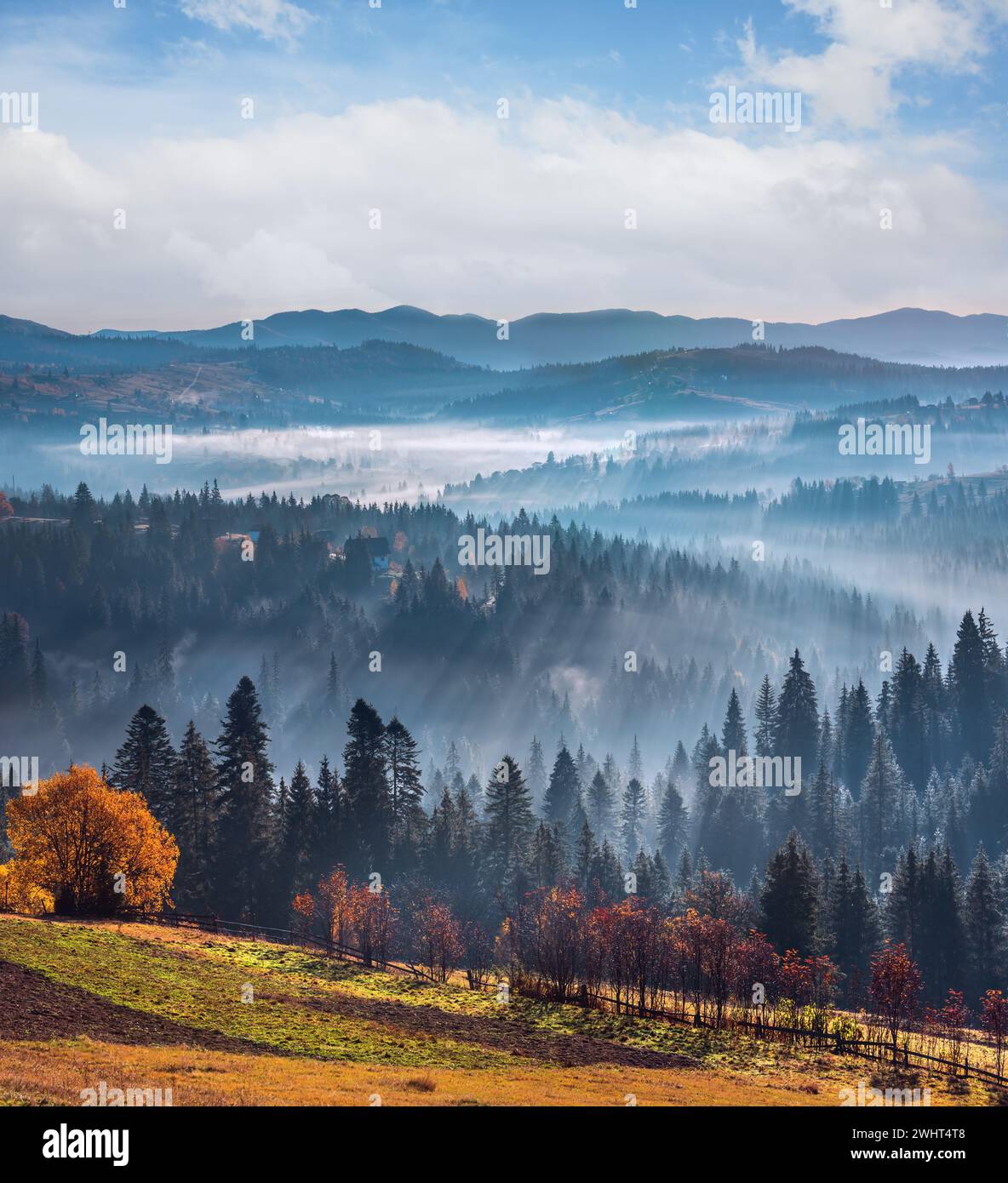 First rays of sun in Carpathians. Stock Photo