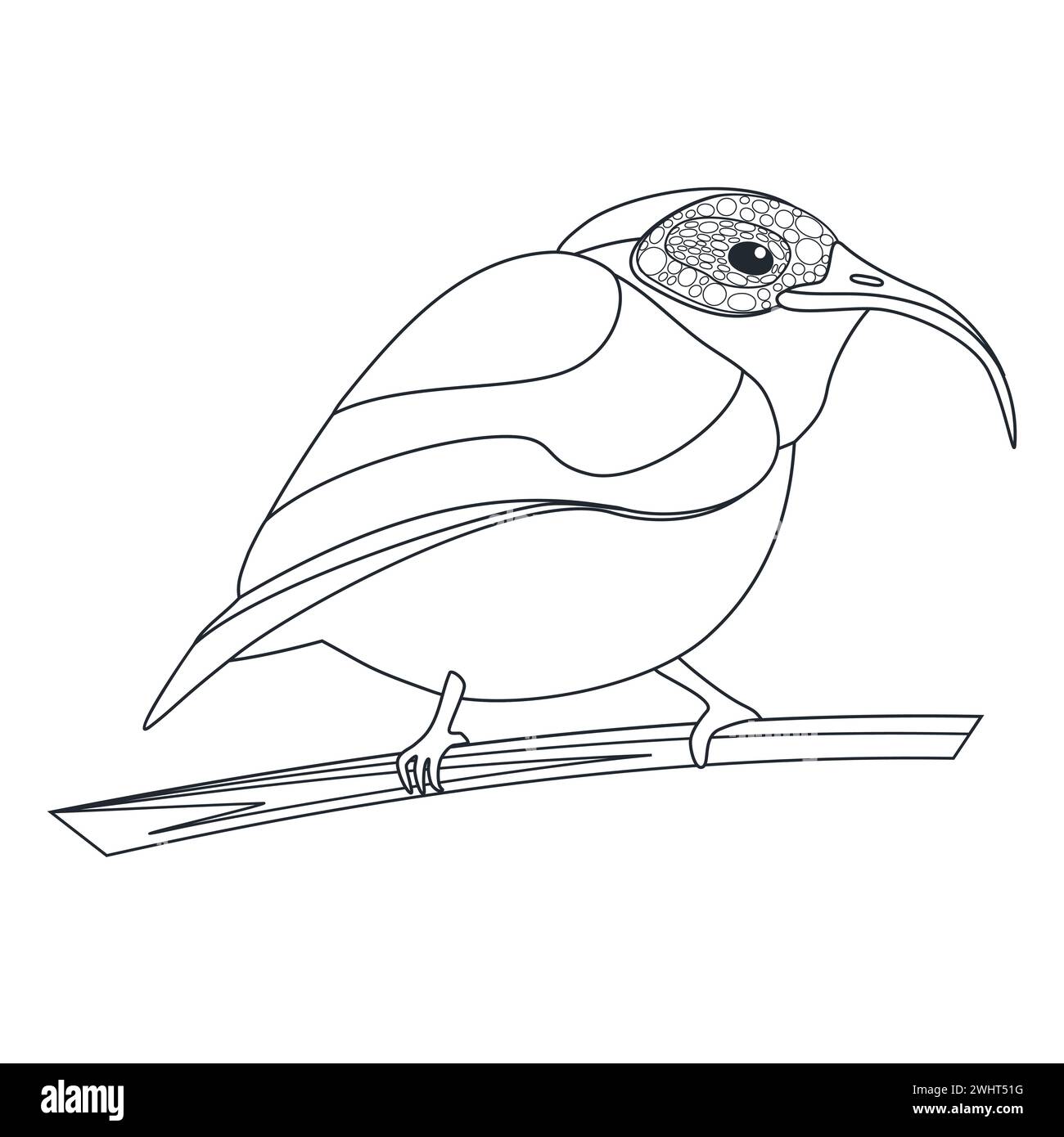 Slender billed scimitar babbler, passerine bird with crooked beak vector illustration Stock Vector