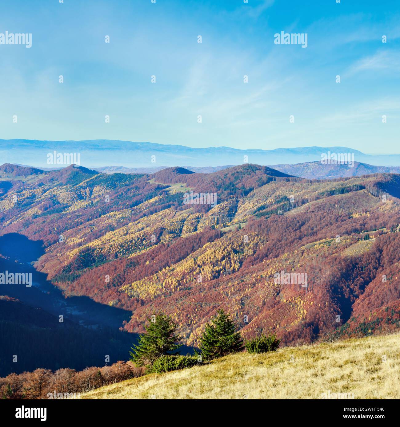 Autumn colorful mountain slopes. Stock Photo