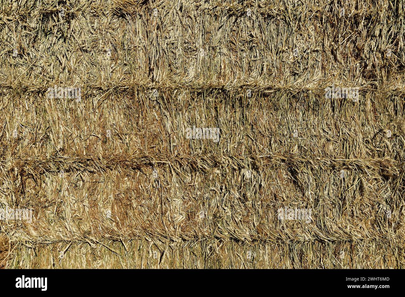 bales of wheat with large blue sky Stock Photo - Alamy