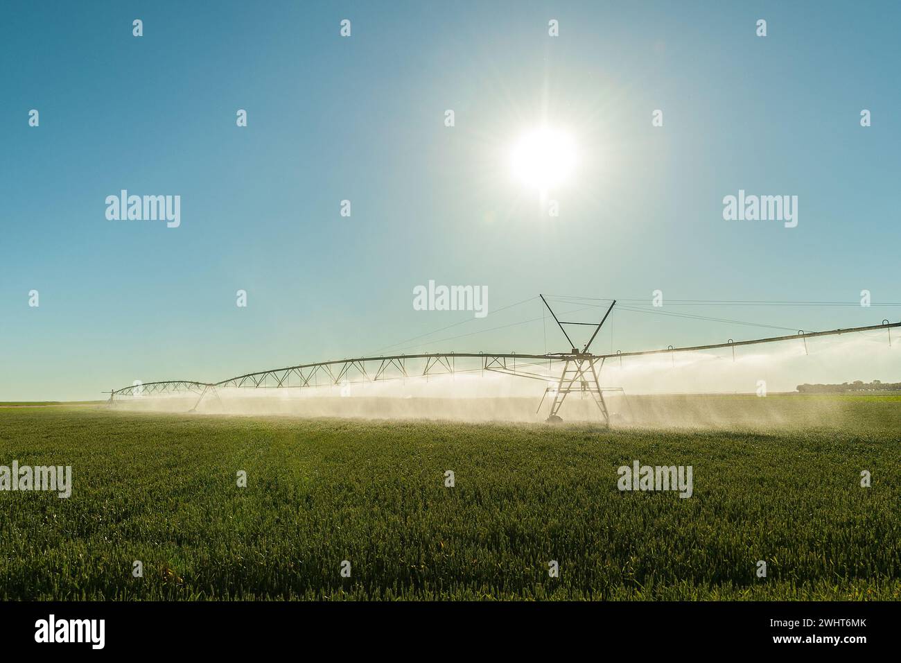Expelling expelling water irrigation backlit on green field Stock Photo - Alamy