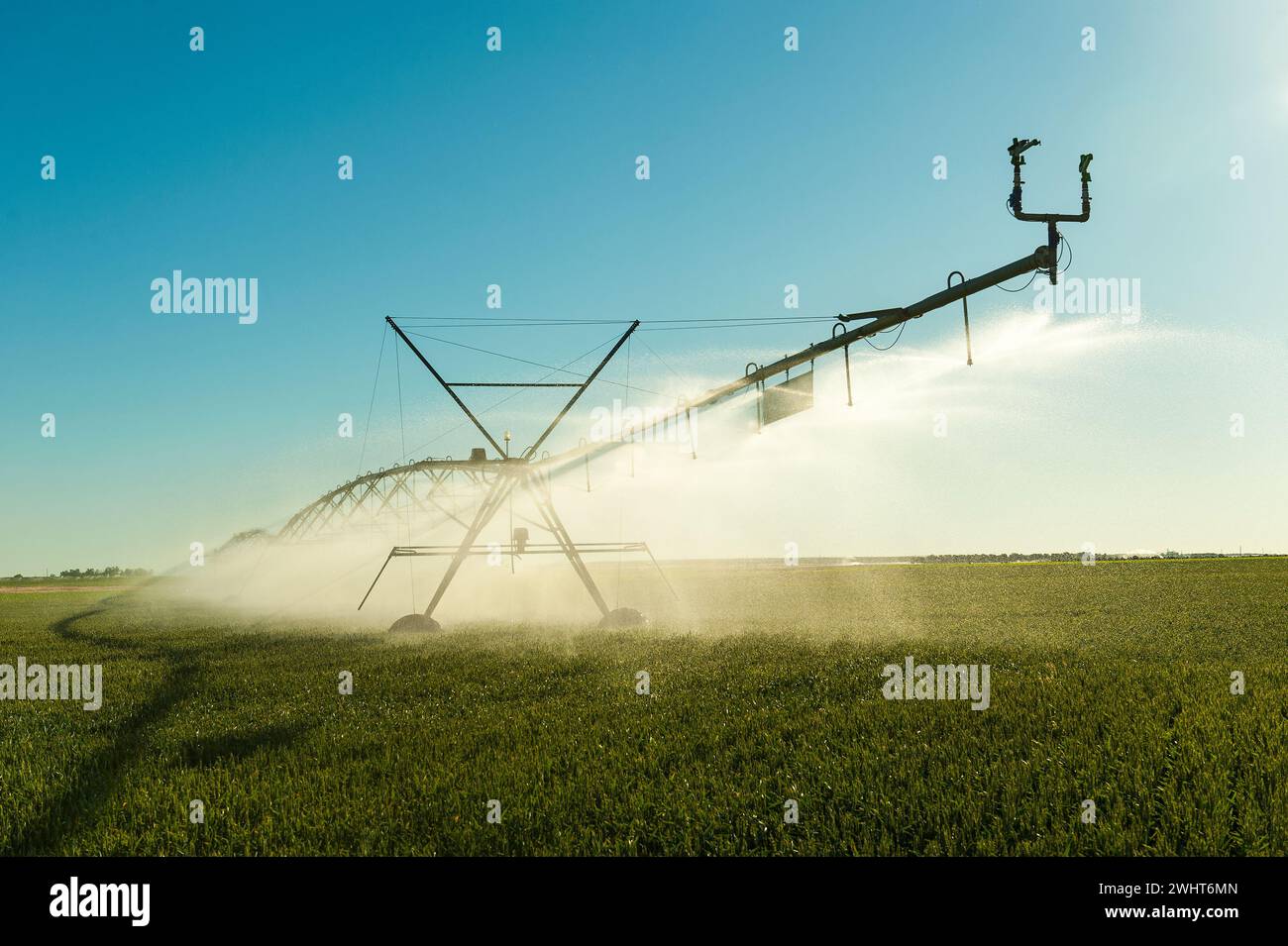 Expelling expelling water irrigation backlit on green field Stock Photo - Alamy