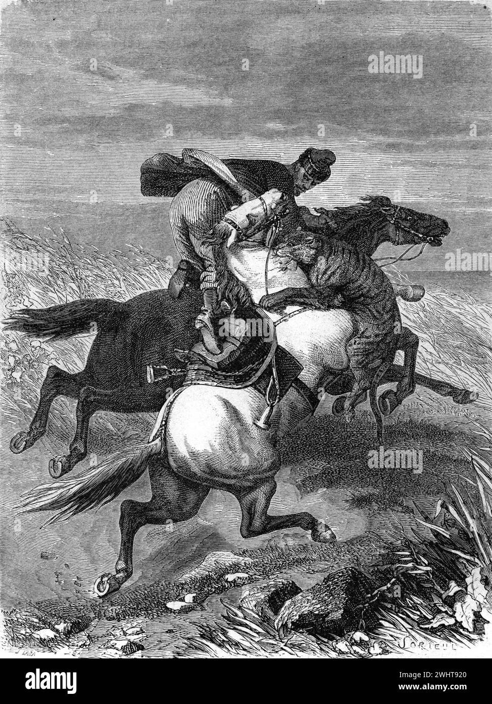 Tiger Attacks or Attacking a Kirghiz Kirghiz or Kyrgyz Horseman in Kyrgyzstan or Kirghizstan. Vintage or Historic Engraving or Illustration 1863 Stock Photo