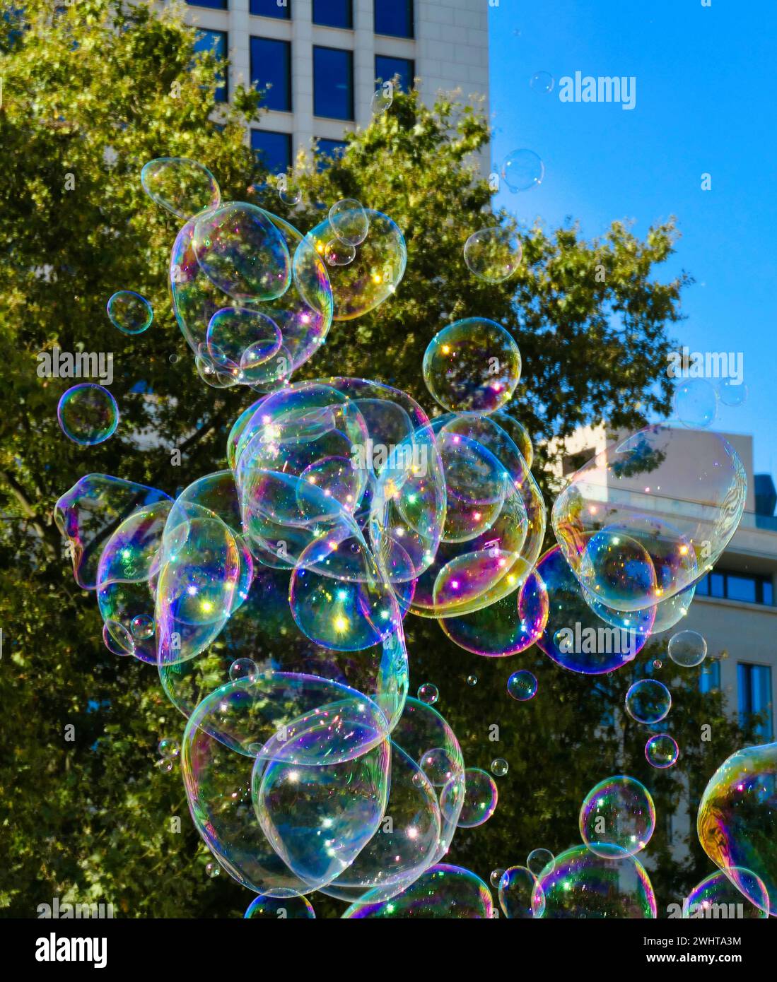 Soap bubbles Stock Photo
