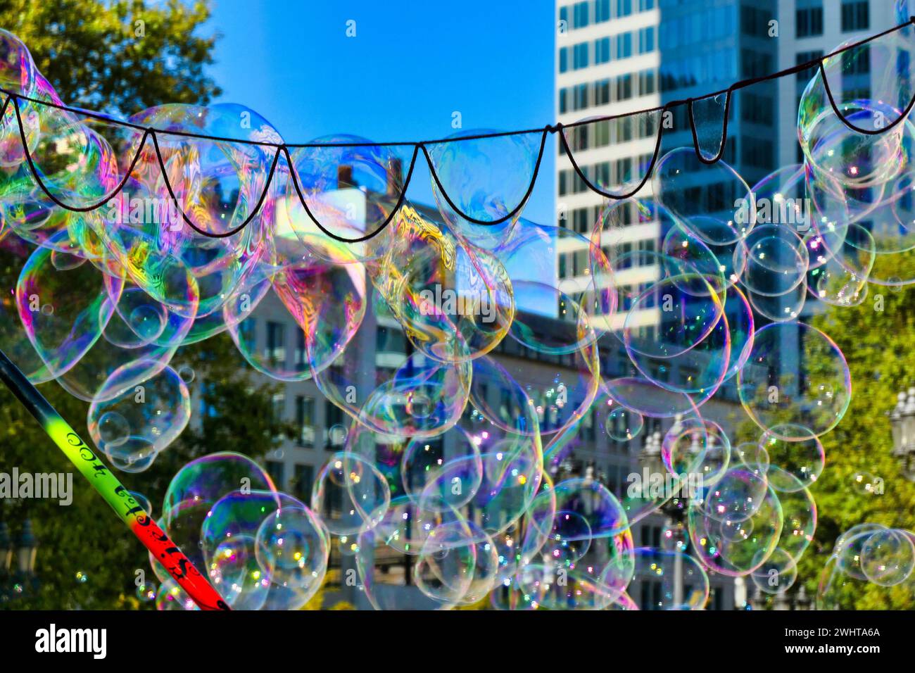 Soap bubbles Stock Photo