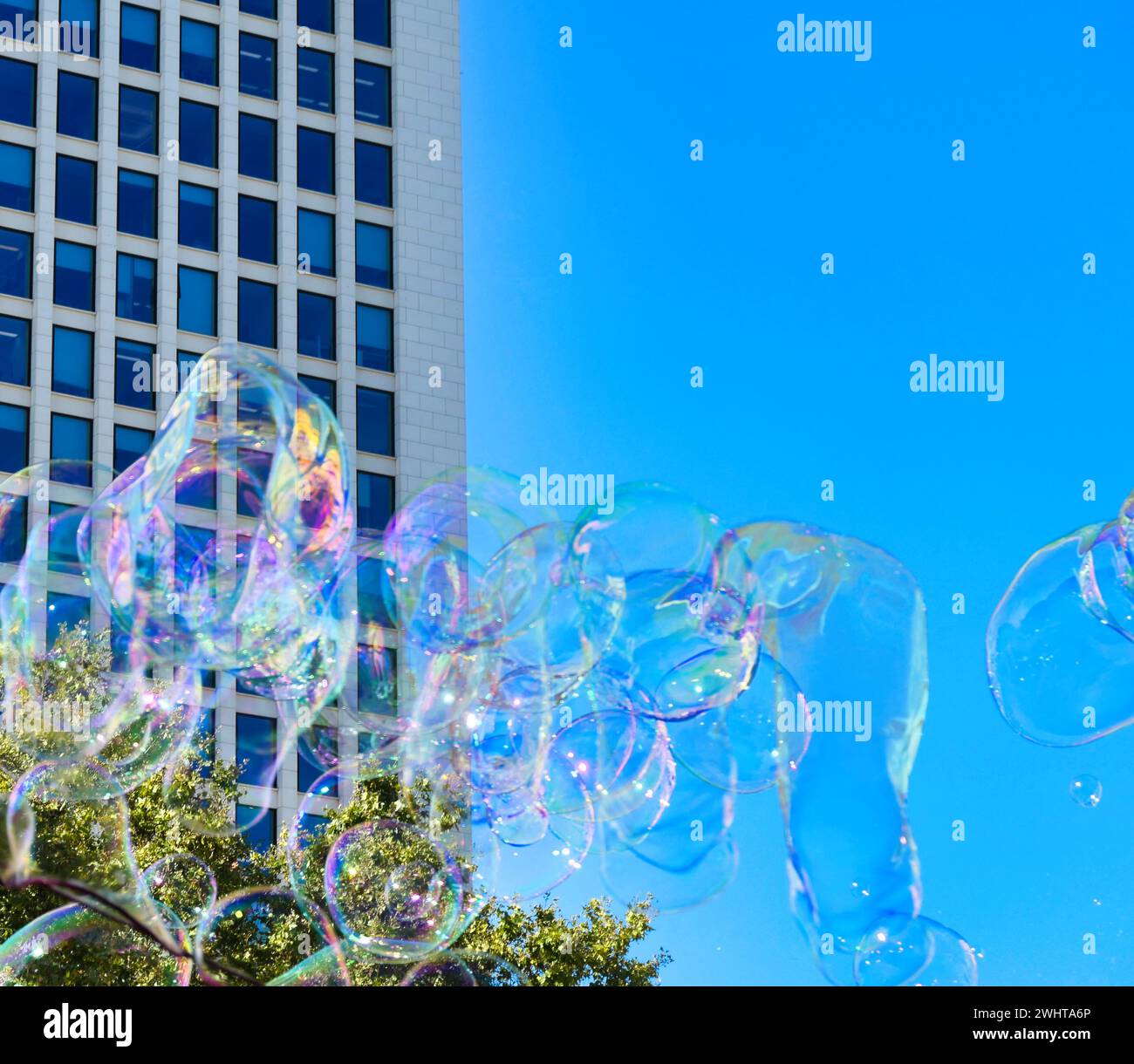 Soap bubbles Stock Photo