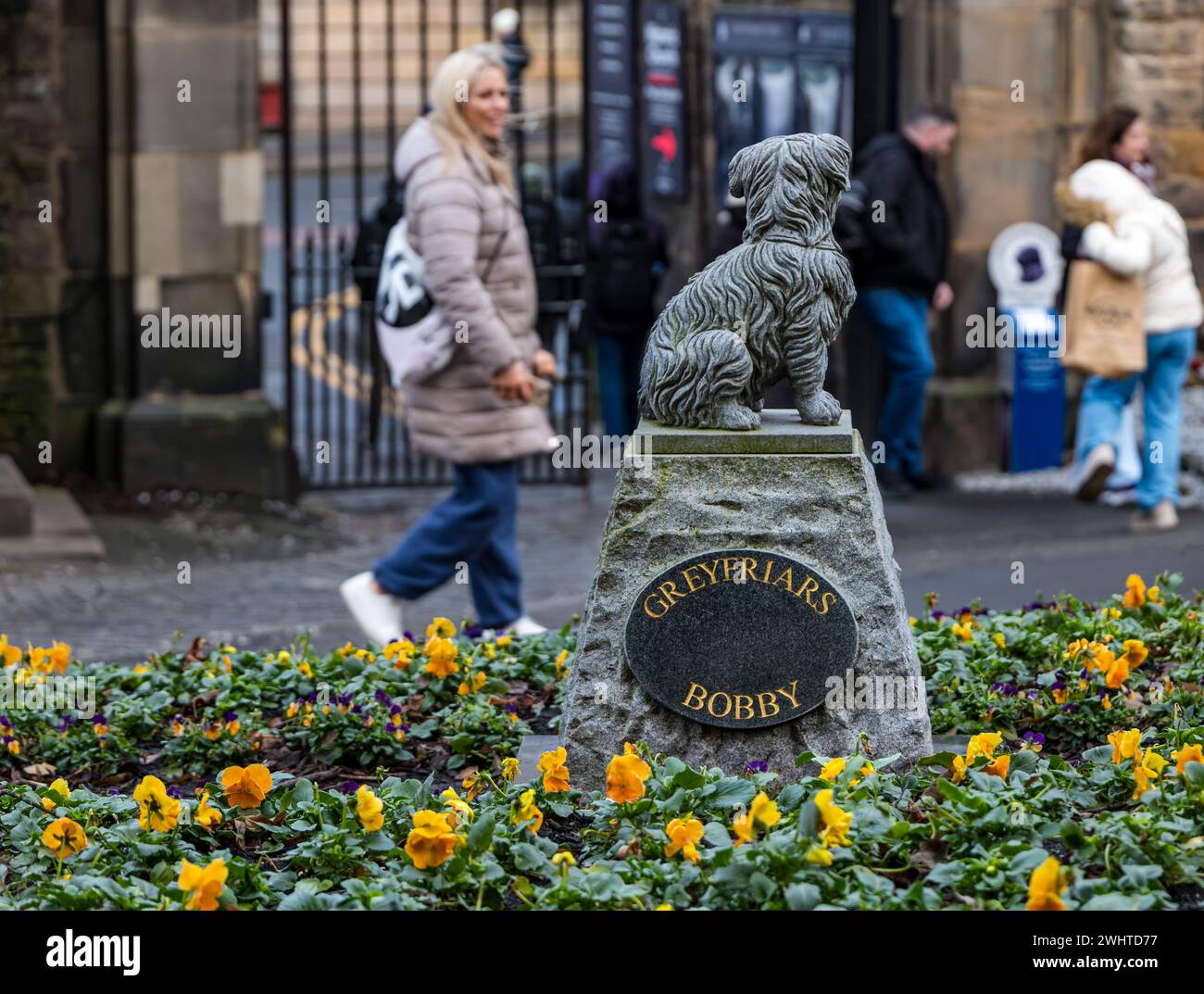 Greyfriar's Bobby dog statue, Greyfriar's kirkyard, Edinburgh, Scotland, UK Stock Photo