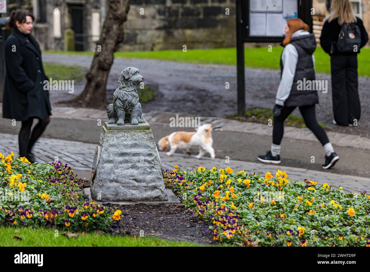 Woman walking dog past Greyfriar's Bobby dog statue in Greyfriar's kirkyard, Edinburgh, Scotland, UK Stock Photo