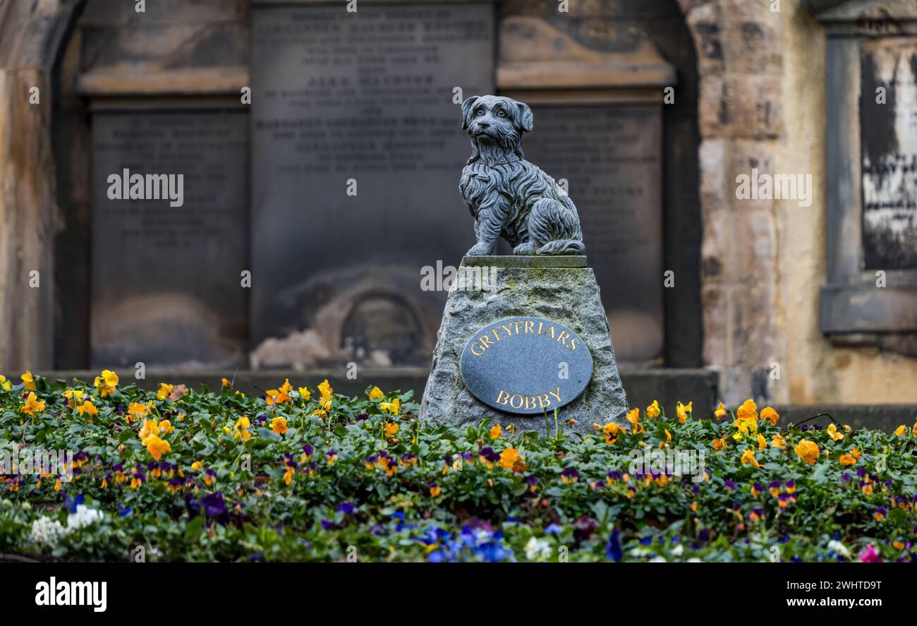 Greyfriar's Bobby dog statue in Greyfriar's kirkyard, Edinburgh, Scotland, UK Stock Photo