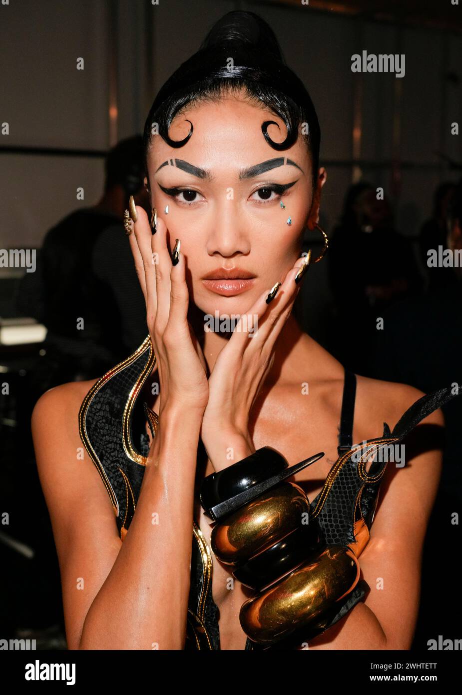 New York, United States. 10th Feb, 2024. The Blonds Fall 2024