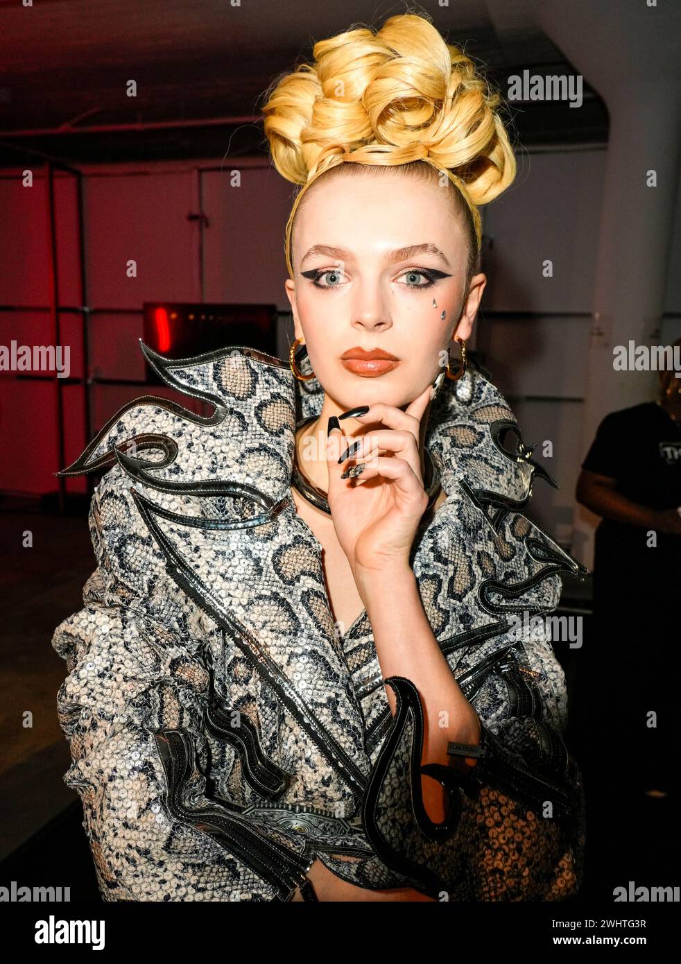 New York, United States. 10th Feb, 2024. The Blonds Fall 2024