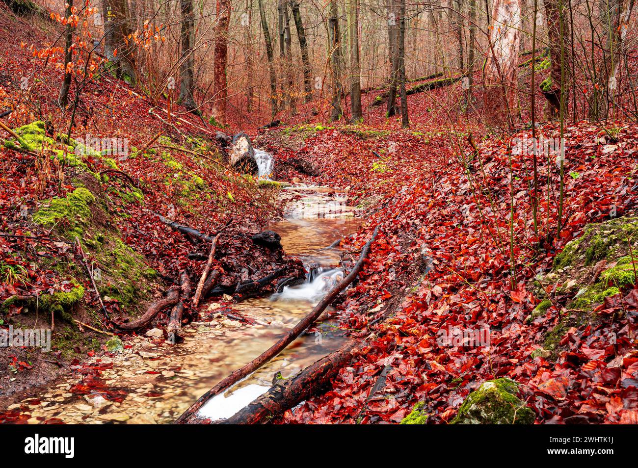 Waterfall in the Rautal forest in Jena in winter, Jena, Thuringia