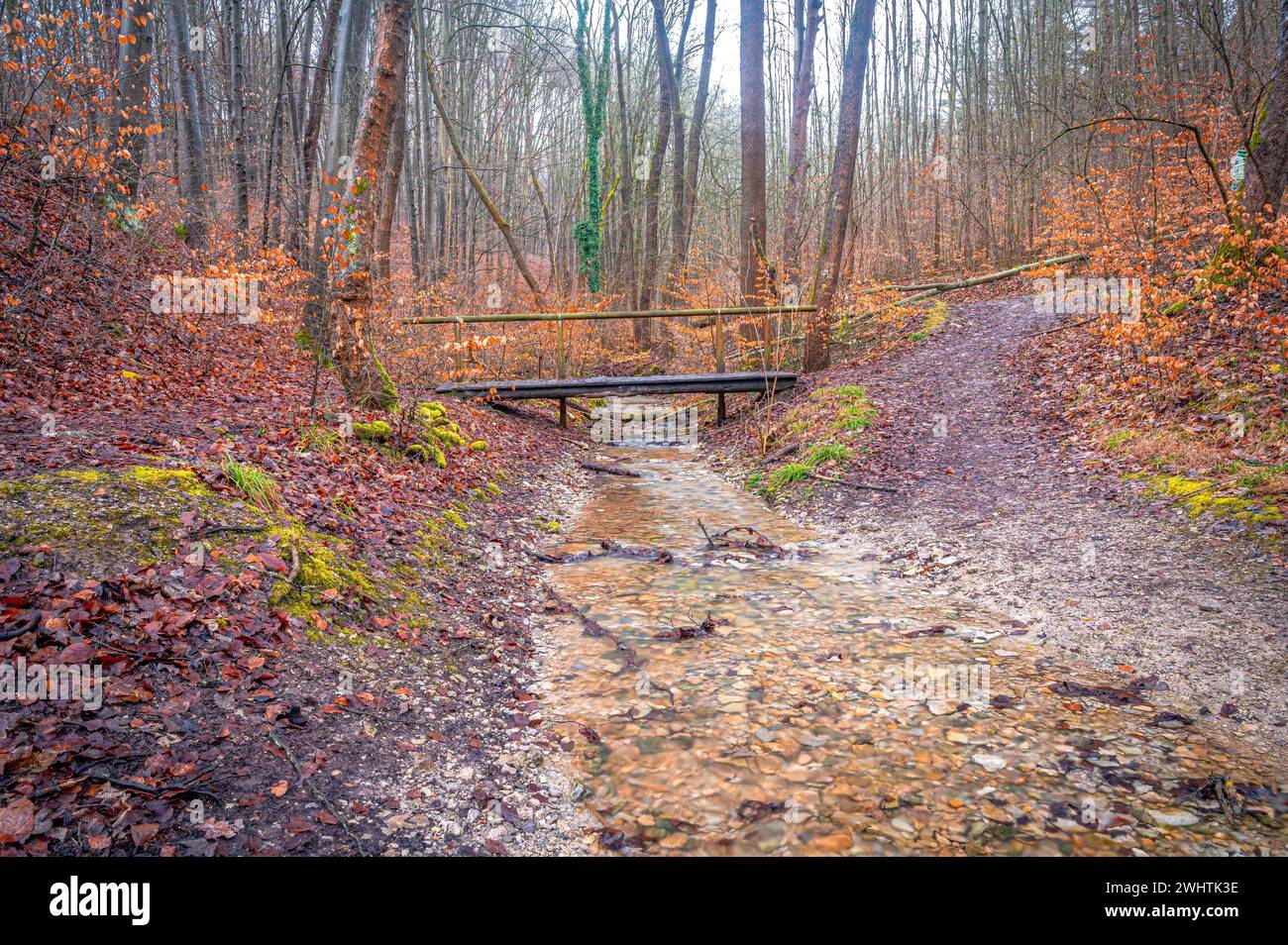 Small old wooden bridge over a stream in the Rautal valley in the
