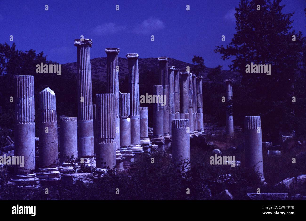 Ruinen von Aphrodisias im Mondlicht * moonlit ruins of the Temple of Aphrodite in Aphrodisias, Turkey Stock Photo