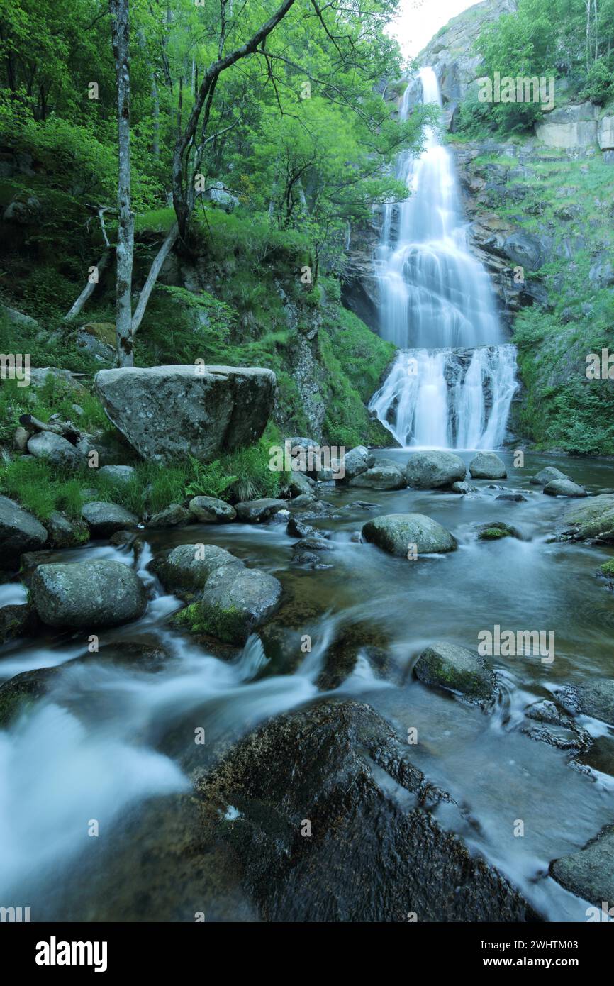 Runes Stream Water