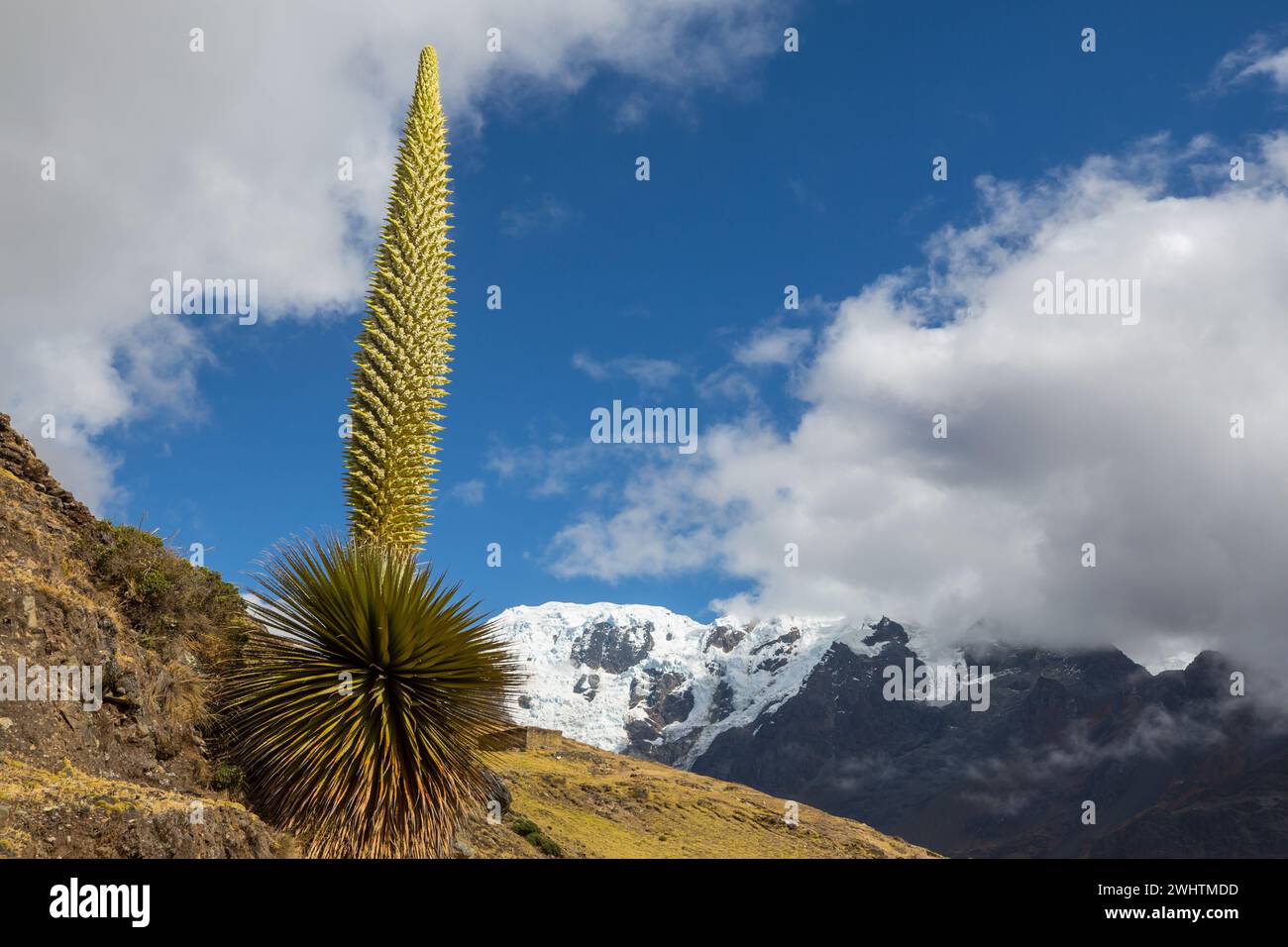 Hiking in the fantastic landscape of the Peruvian high mountain Andes Stock Photo