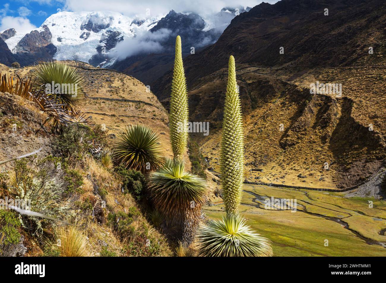 Hiking in the fantastic landscape of the Peruvian high mountain Andes Stock Photo