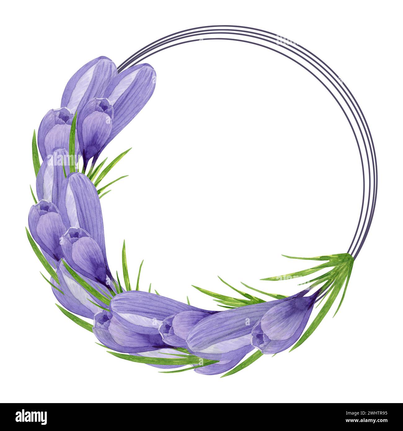 Watercolor purple crocuses half circle wreath, spring flowers round ...