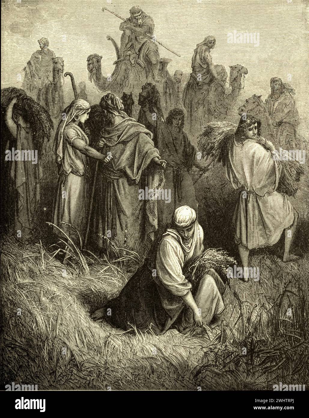 The Bible - Ruth and  Boaz by Gustave Dorè Stock Photo