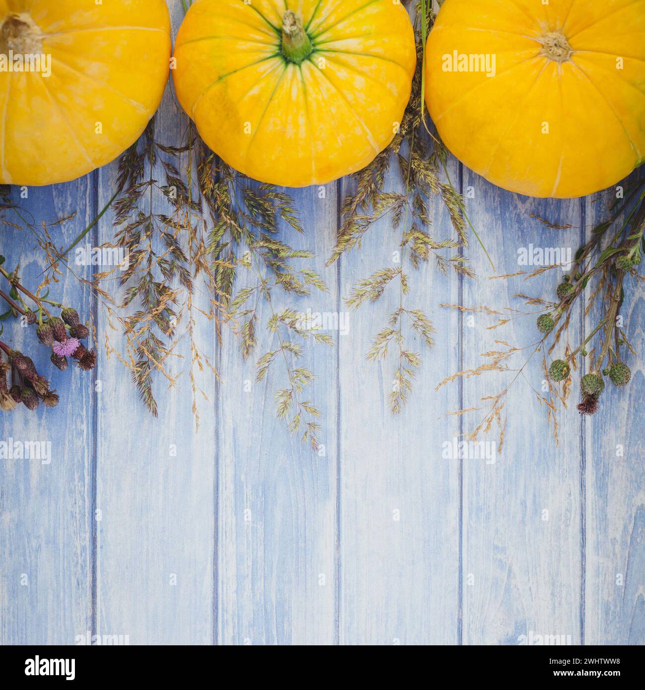 Autumn pumpkins and dry flowers Stock Photo