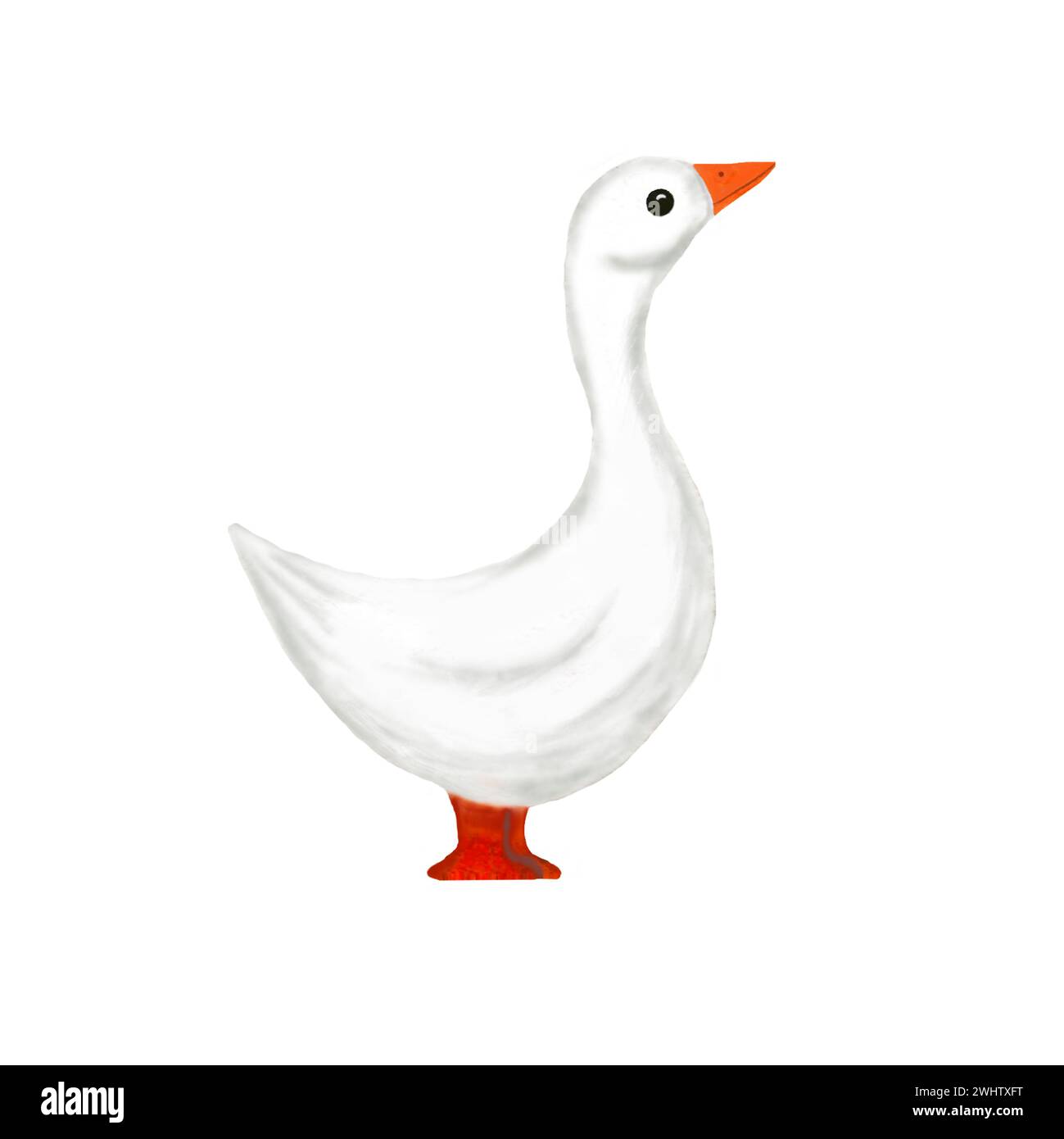 Watercolor goose on white background. Hand painted watercolor illustration isolated on white background Stock Photo