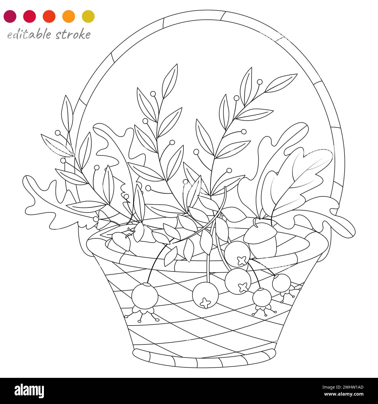 still-life-with-acorns-stock-vector-images-alamy