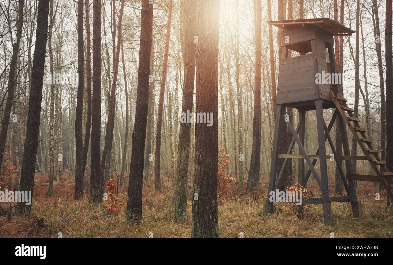 Photo of a deer hunting tower in a forest. Stock Photo