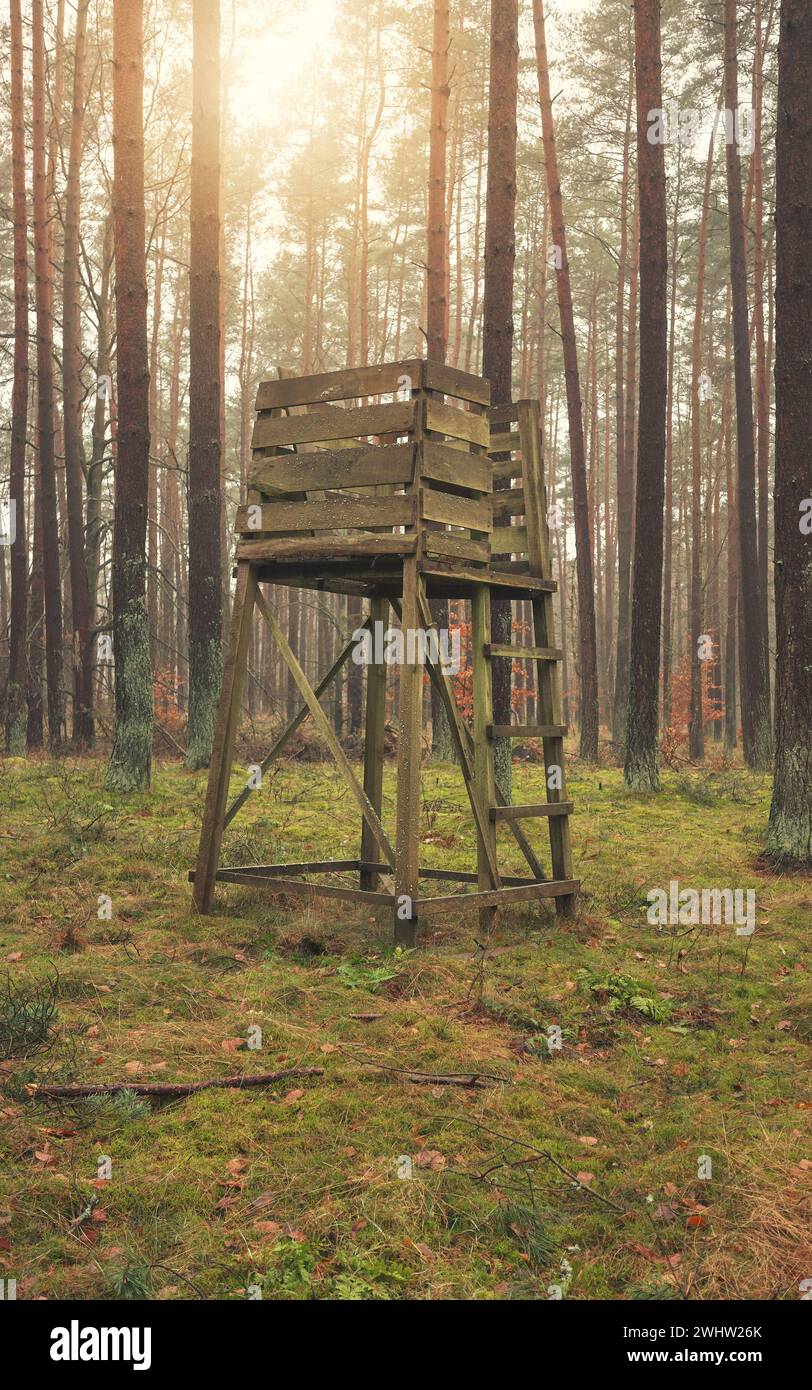 Photo of a deer hunting stand in a forest. Stock Photo