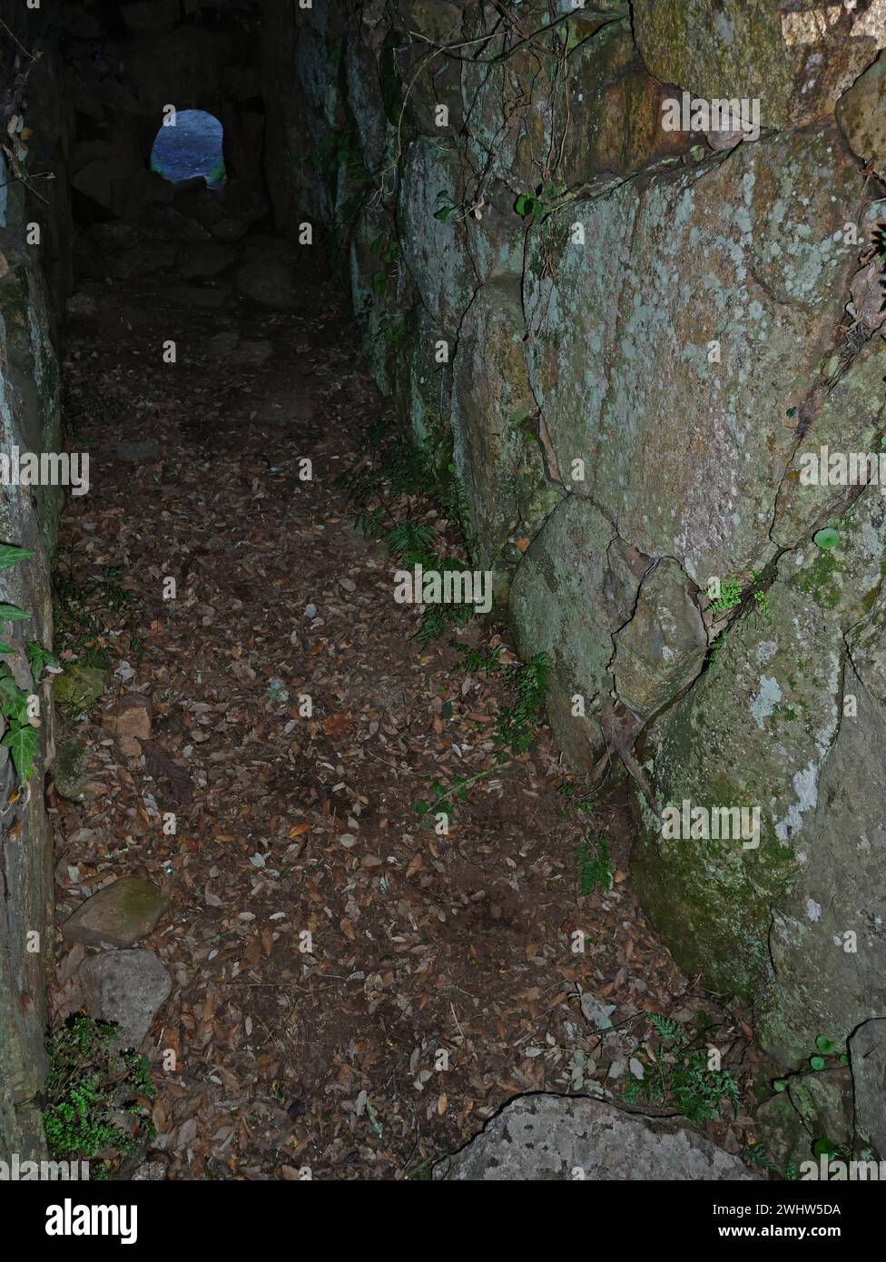 Pascaredda giants tomb in Calangianus, Sardinia, Italy Stock Photo