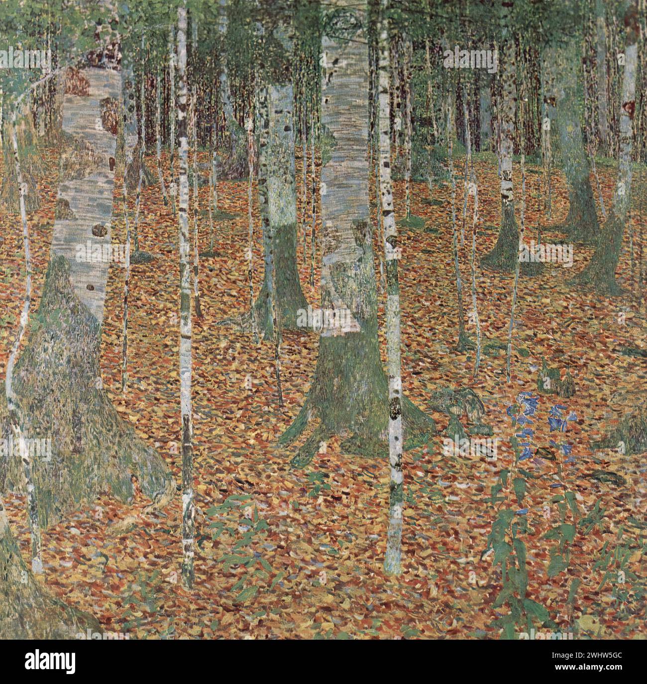Gustav Klimt Forêt de bouleaux Stock Photo Alamy