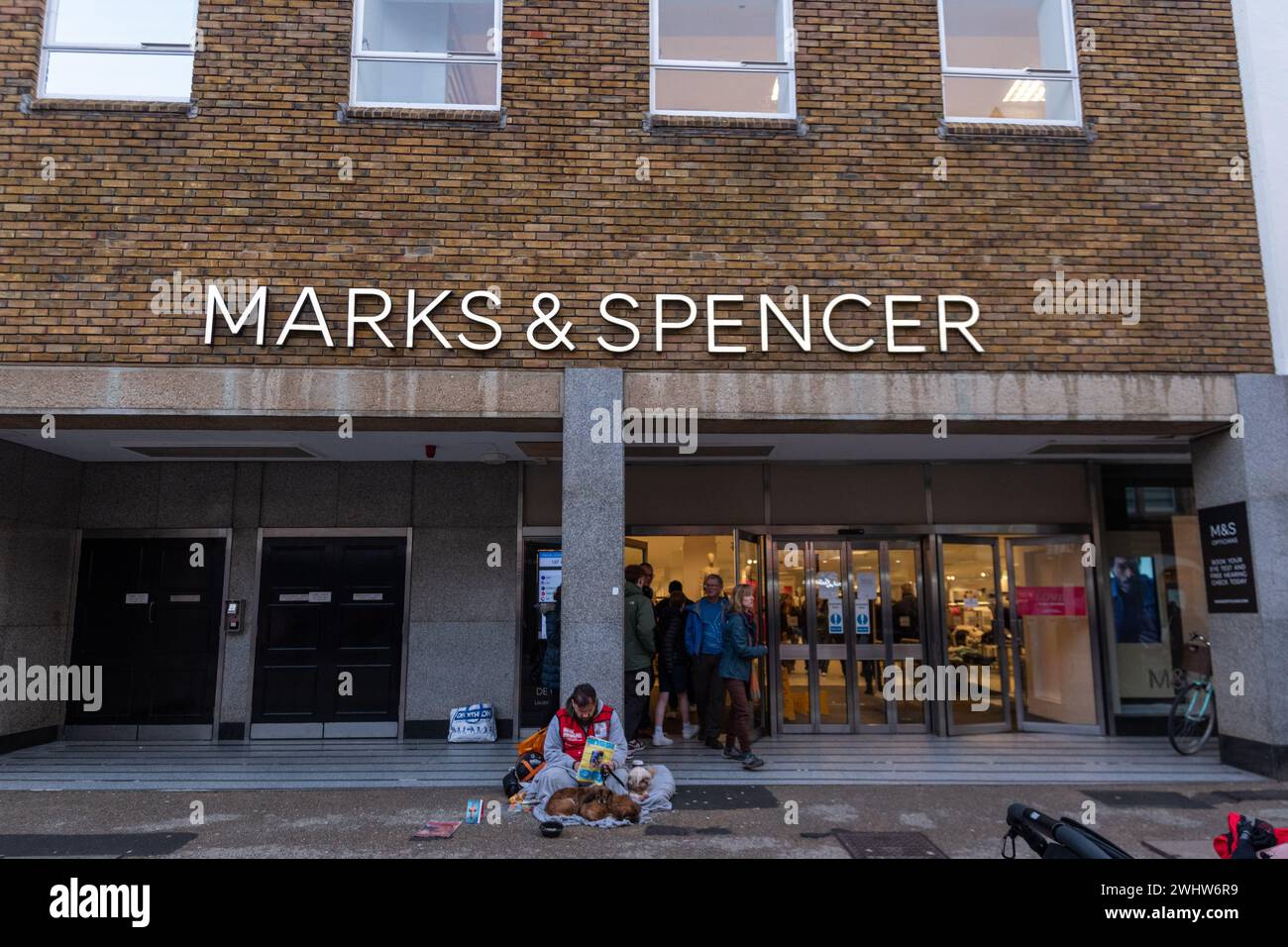 Homeless man with a dog camps outside marks and spencer hires stock