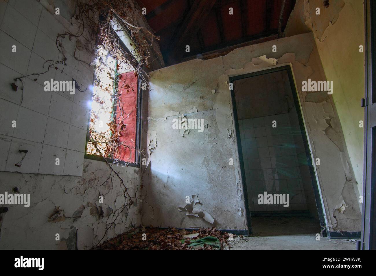 Interior of unsafe house in ruins Stock Photo