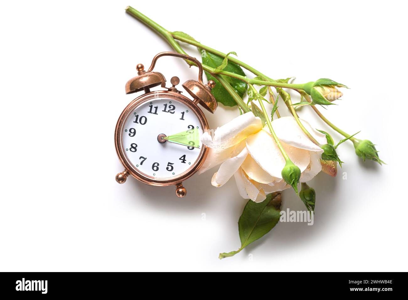 Vintage alarm clock and a light rose showing the hour between daylight saving time in summer and fall back for winter or standar Stock Photo