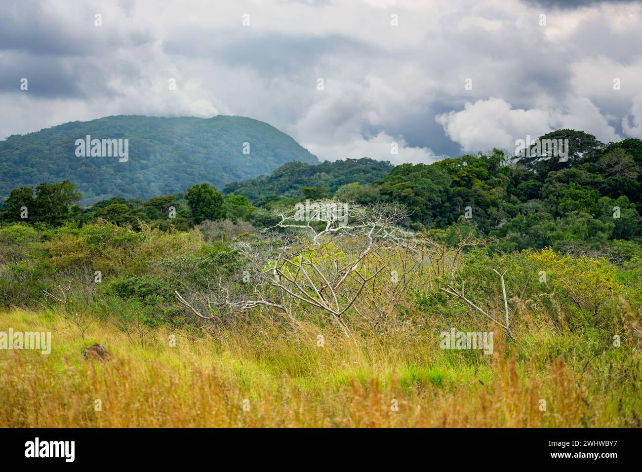 Rincon de La Vieja Volcano, Costa Rica Stock Photo - Alamy