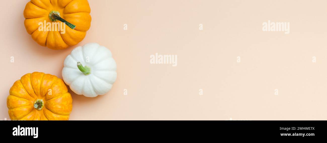Top view fresh pumpkins hi-res stock photography and images - Alamy